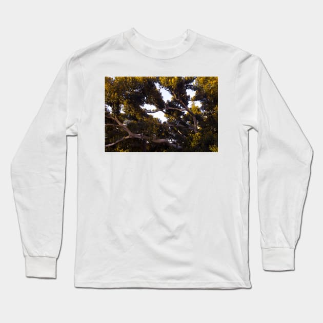 Magnolia Long Sleeve T-Shirt by bunlinked